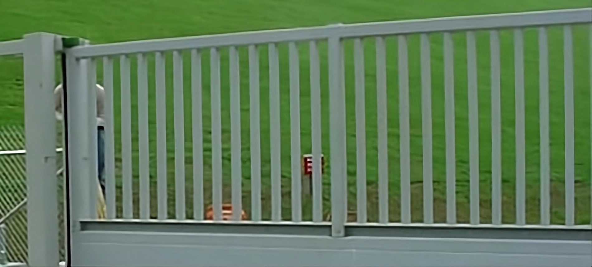 sc3000-02-banner-transformed-