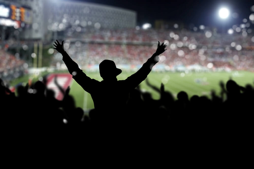 What are the elements of stadium crowd control?